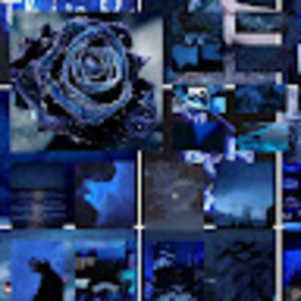 Meet your Posher, Lilly